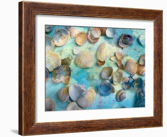 Photomontage Mussels and Textures-Alaya Gadeh-Framed Photographic Print