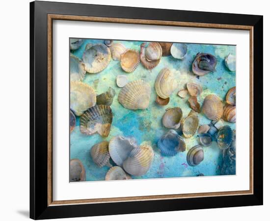 Photomontage Mussels and Textures-Alaya Gadeh-Framed Photographic Print