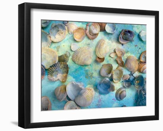 Photomontage Mussels and Textures-Alaya Gadeh-Framed Photographic Print