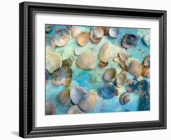 Photomontage Mussels and Textures-Alaya Gadeh-Framed Photographic Print