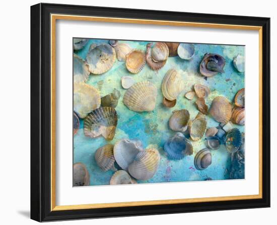 Photomontage Mussels and Textures-Alaya Gadeh-Framed Photographic Print