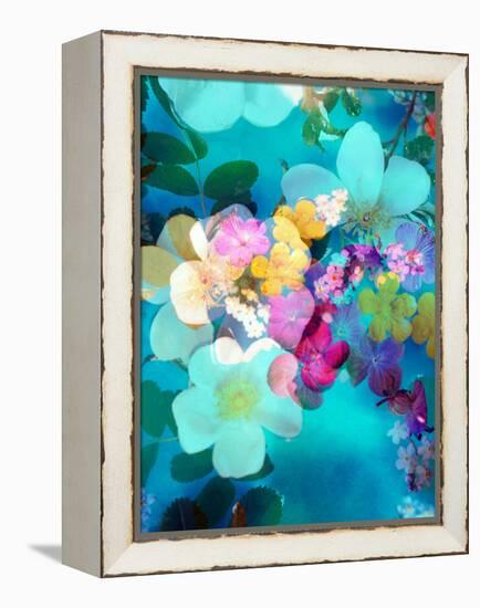 Photomontage of Blossoms in Water-Alaya Gadeh-Framed Premier Image Canvas