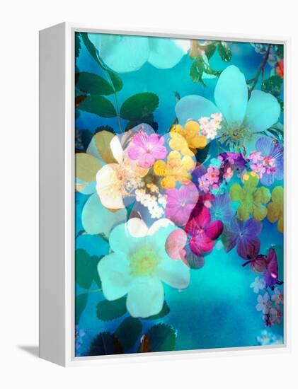 Photomontage of Blossoms in Water-Alaya Gadeh-Framed Premier Image Canvas