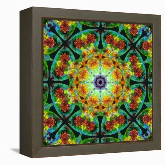 Photomontage of Flowers in a Symmetrical Ornament, Mandala-Alaya Gadeh-Framed Premier Image Canvas