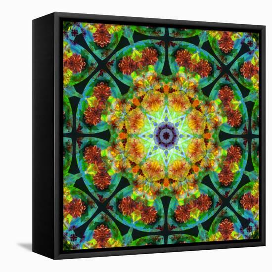 Photomontage of Flowers in a Symmetrical Ornament, Mandala-Alaya Gadeh-Framed Premier Image Canvas