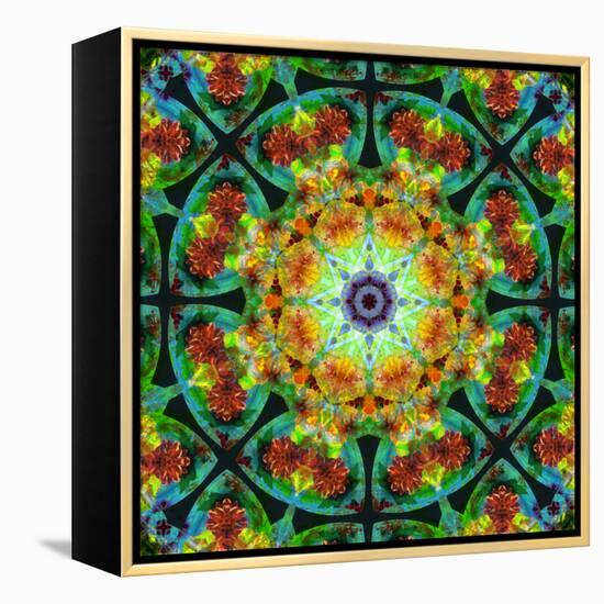 Photomontage of Flowers in a Symmetrical Ornament, Mandala-Alaya Gadeh-Framed Premier Image Canvas