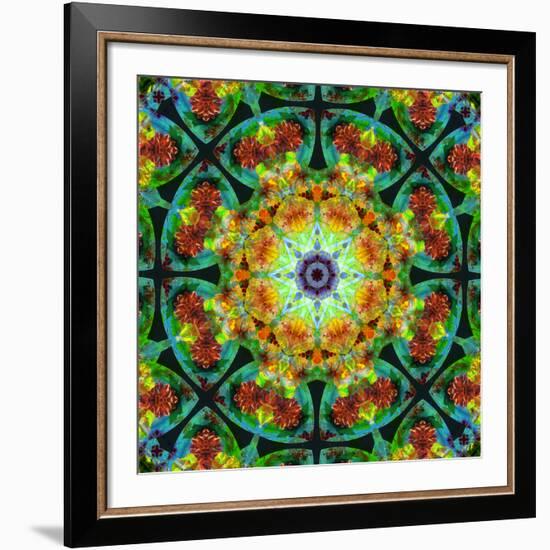 Photomontage of Flowers in a Symmetrical Ornament, Mandala-Alaya Gadeh-Framed Photographic Print