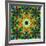 Photomontage of Flowers in a Symmetrical Ornament, Mandala-Alaya Gadeh-Framed Photographic Print