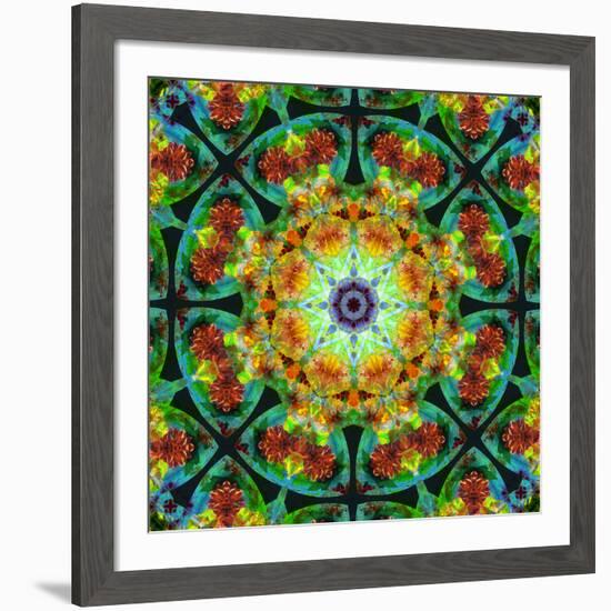 Photomontage of Flowers in a Symmetrical Ornament, Mandala-Alaya Gadeh-Framed Photographic Print