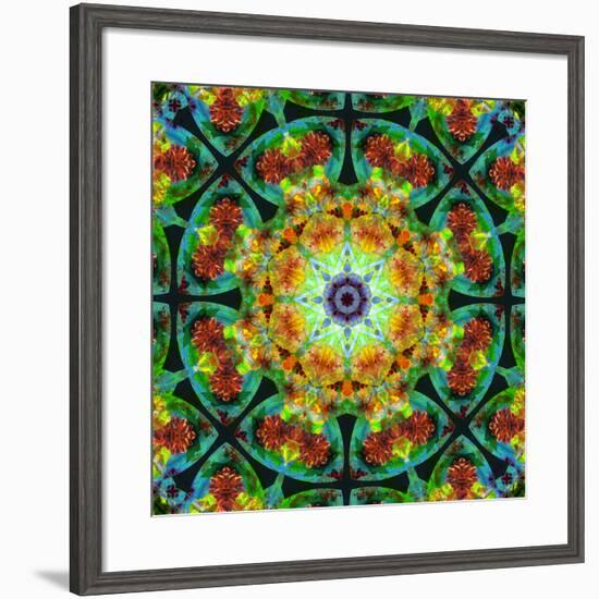 Photomontage of Flowers in a Symmetrical Ornament, Mandala-Alaya Gadeh-Framed Photographic Print