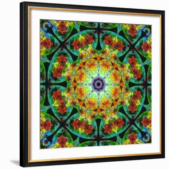 Photomontage of Flowers in a Symmetrical Ornament, Mandala-Alaya Gadeh-Framed Photographic Print