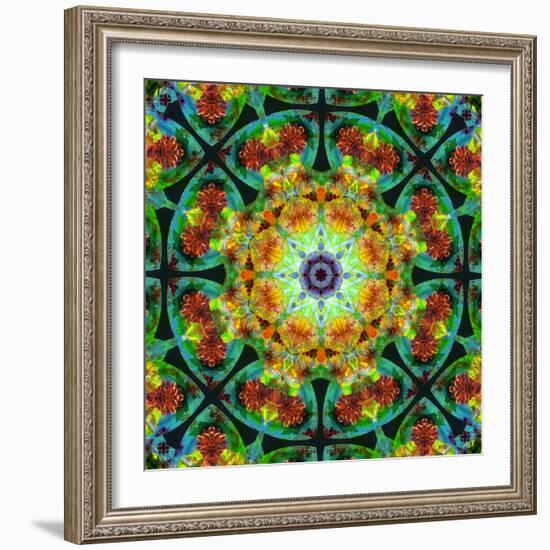 Photomontage of Flowers in a Symmetrical Ornament, Mandala-Alaya Gadeh-Framed Photographic Print