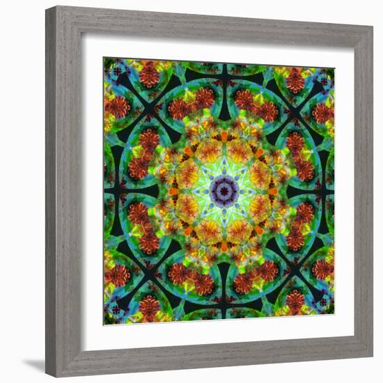 Photomontage of Flowers in a Symmetrical Ornament, Mandala-Alaya Gadeh-Framed Photographic Print