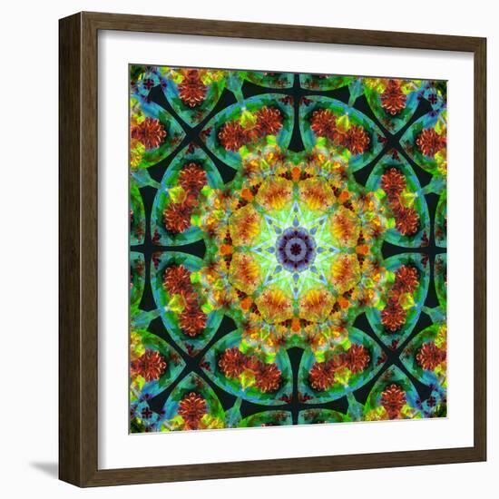 Photomontage of Flowers in a Symmetrical Ornament, Mandala-Alaya Gadeh-Framed Photographic Print
