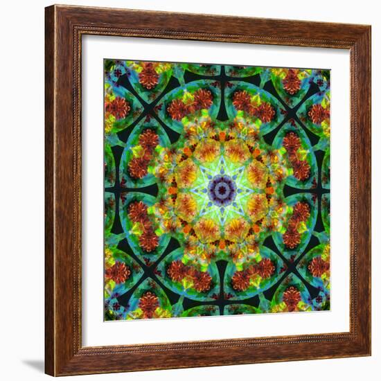 Photomontage of Flowers in a Symmetrical Ornament, Mandala-Alaya Gadeh-Framed Photographic Print