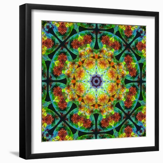 Photomontage of Flowers in a Symmetrical Ornament, Mandala-Alaya Gadeh-Framed Photographic Print