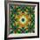 Photomontage of Flowers in a Symmetrical Ornament, Mandala-Alaya Gadeh-Framed Photographic Print