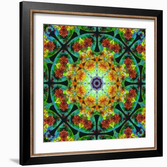 Photomontage of Flowers in a Symmetrical Ornament, Mandala-Alaya Gadeh-Framed Photographic Print