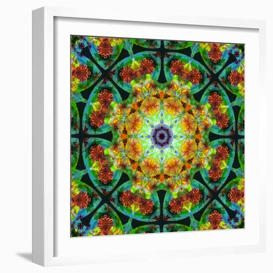 Photomontage of Flowers in a Symmetrical Ornament, Mandala-Alaya Gadeh-Framed Photographic Print