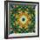 Photomontage of Flowers in a Symmetrical Ornament, Mandala-Alaya Gadeh-Framed Photographic Print