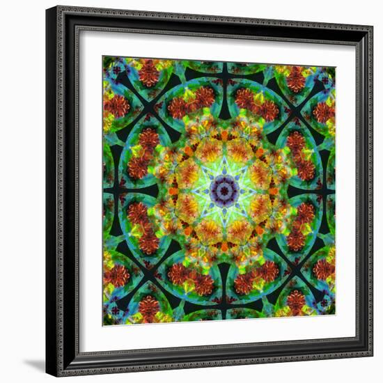 Photomontage of Flowers in a Symmetrical Ornament, Mandala-Alaya Gadeh-Framed Photographic Print