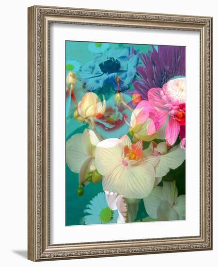 Photomontage of Flowers in Water-Alaya Gadeh-Framed Photographic Print