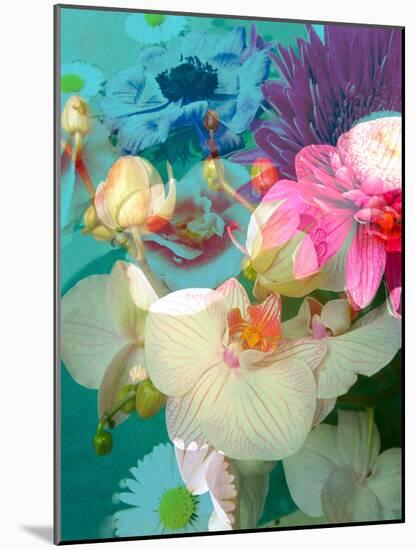 Photomontage of Flowers in Water-Alaya Gadeh-Mounted Photographic Print
