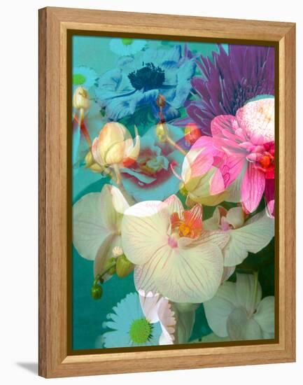 Photomontage of Flowers in Water-Alaya Gadeh-Framed Premier Image Canvas