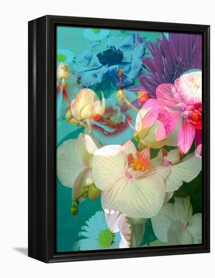 Photomontage of Flowers in Water-Alaya Gadeh-Framed Premier Image Canvas