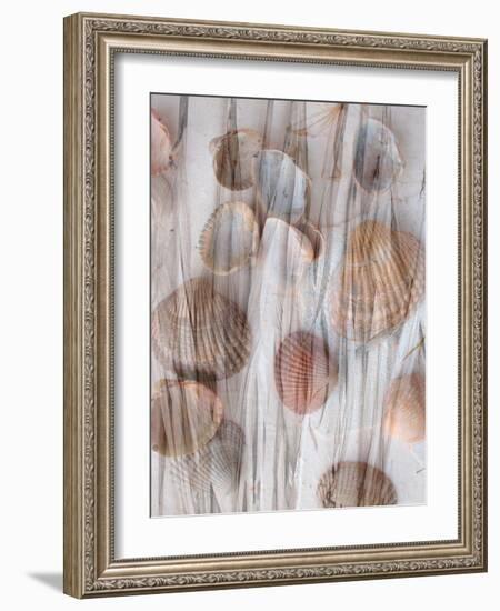 Photomontage of Grass and Mussels-Alaya Gadeh-Framed Photographic Print