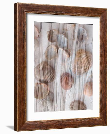 Photomontage of Grass and Mussels-Alaya Gadeh-Framed Photographic Print