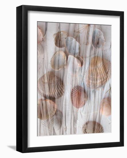 Photomontage of Grass and Mussels-Alaya Gadeh-Framed Photographic Print