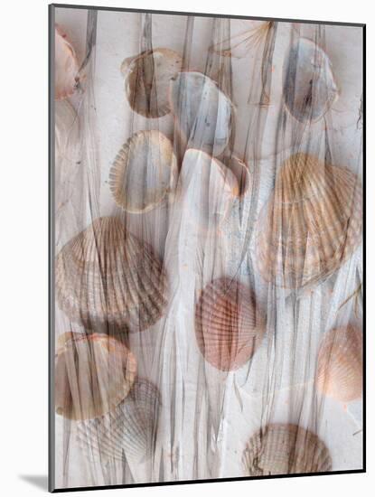 Photomontage of Grass and Mussels-Alaya Gadeh-Mounted Photographic Print