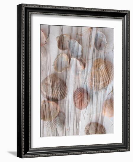 Photomontage of Grass and Mussels-Alaya Gadeh-Framed Photographic Print