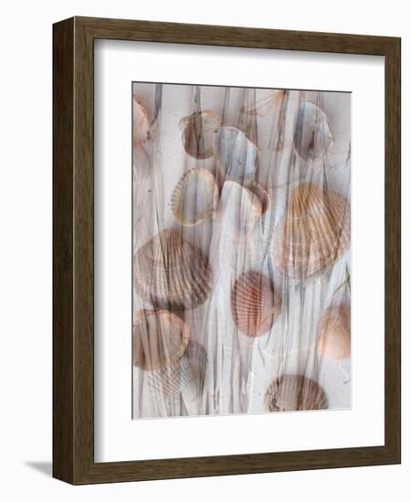 Photomontage of Grass and Mussels-Alaya Gadeh-Framed Photographic Print