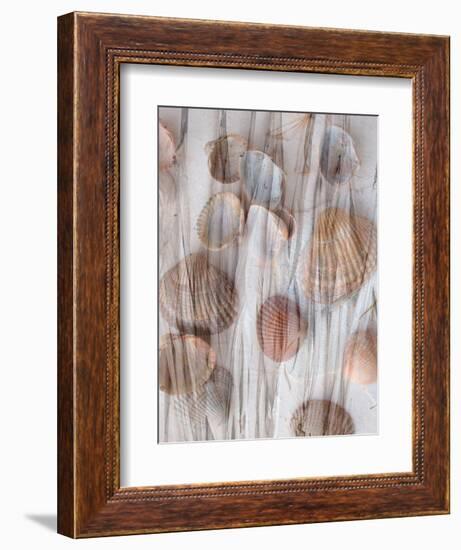 Photomontage of Grass and Mussels-Alaya Gadeh-Framed Photographic Print