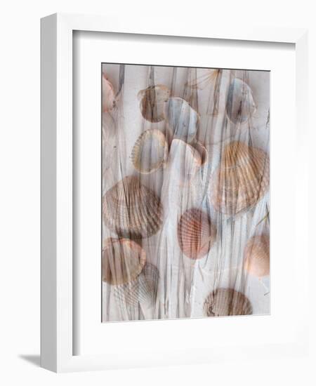 Photomontage of Grass and Mussels-Alaya Gadeh-Framed Photographic Print