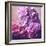 Photomontage of Hyacinths Blossoms and Textures in Pink, Lilacs and Brown Tones-Alaya Gadeh-Framed Photographic Print