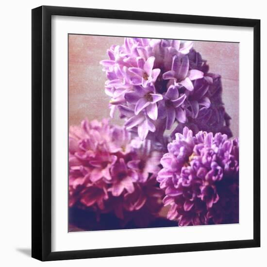 Photomontage of Hyacinths Blossoms and Textures in Pink, Lilacs and Brown Tones-Alaya Gadeh-Framed Photographic Print