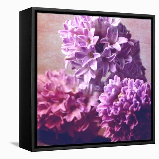 Photomontage of Hyacinths Blossoms and Textures in Pink, Lilacs and Brown Tones-Alaya Gadeh-Framed Premier Image Canvas