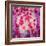 Photomontage of Red Roses and Floralen Ornaments-Alaya Gadeh-Framed Photographic Print