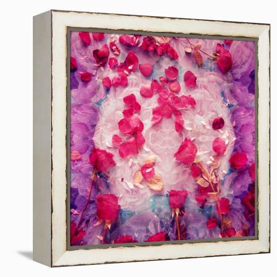 Photomontage of Red Roses and Floralen Ornaments-Alaya Gadeh-Framed Premier Image Canvas
