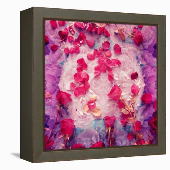 Photomontage of Red Roses and Floralen Ornaments-Alaya Gadeh-Framed Premier Image Canvas
