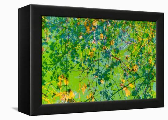 Photomontage of Trees in Green Tones-Alaya Gadeh-Framed Premier Image Canvas