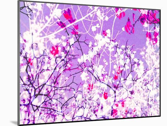 Photomontage of Trees in Purple Tones-Alaya Gadeh-Mounted Photographic Print