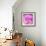 Photomontage of Two Blossoms in Pink Ones-Alaya Gadeh-Framed Photographic Print displayed on a wall