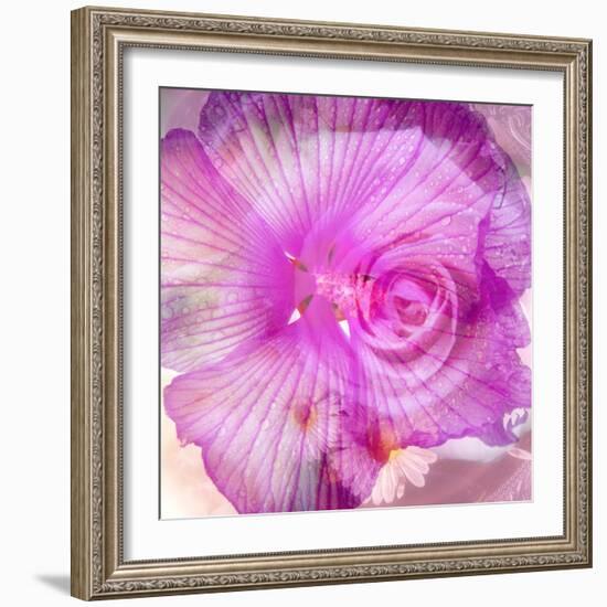 Photomontage of Two Blossoms in Pink Ones-Alaya Gadeh-Framed Photographic Print