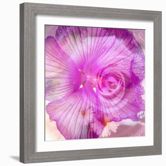 Photomontage of Two Blossoms in Pink Ones-Alaya Gadeh-Framed Photographic Print