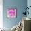 Photomontage of Two Blossoms in Pink Ones-Alaya Gadeh-Framed Photographic Print displayed on a wall