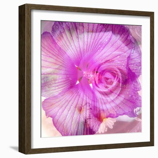 Photomontage of Two Blossoms in Pink Ones-Alaya Gadeh-Framed Photographic Print